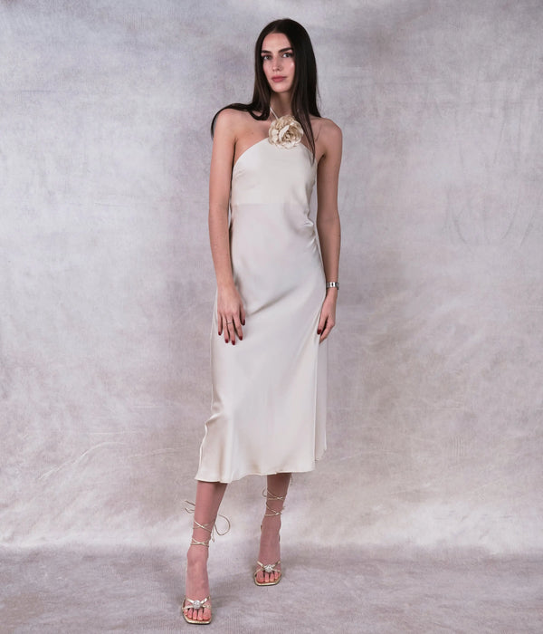 Ivory Backless Midi Dress